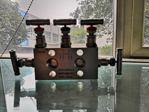 五閥組圖片-五閥組實物圖正面圖